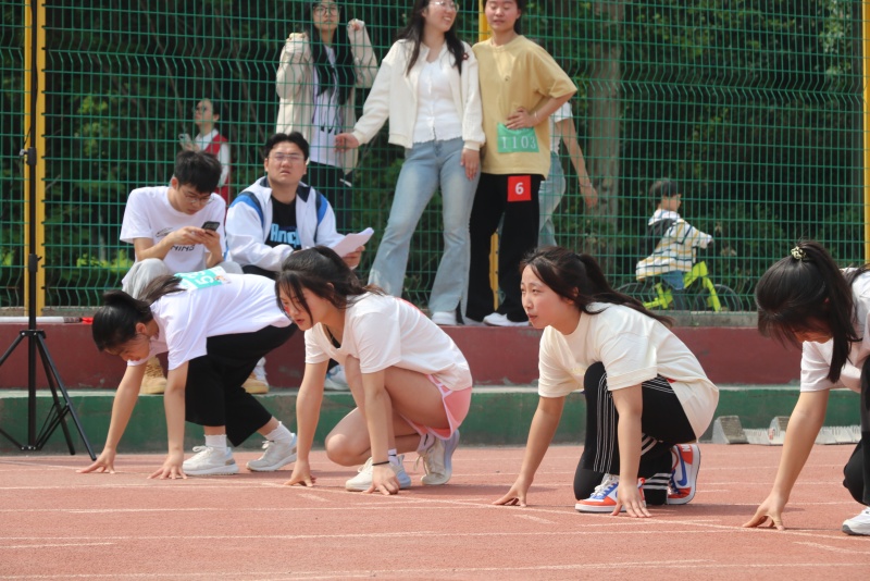图十二.jpg 图十二.jpg